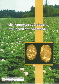 Aktinomycetová obecná strupovitost bramboru