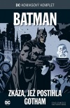 Batman: Zkáza, jež postihla Gotham
