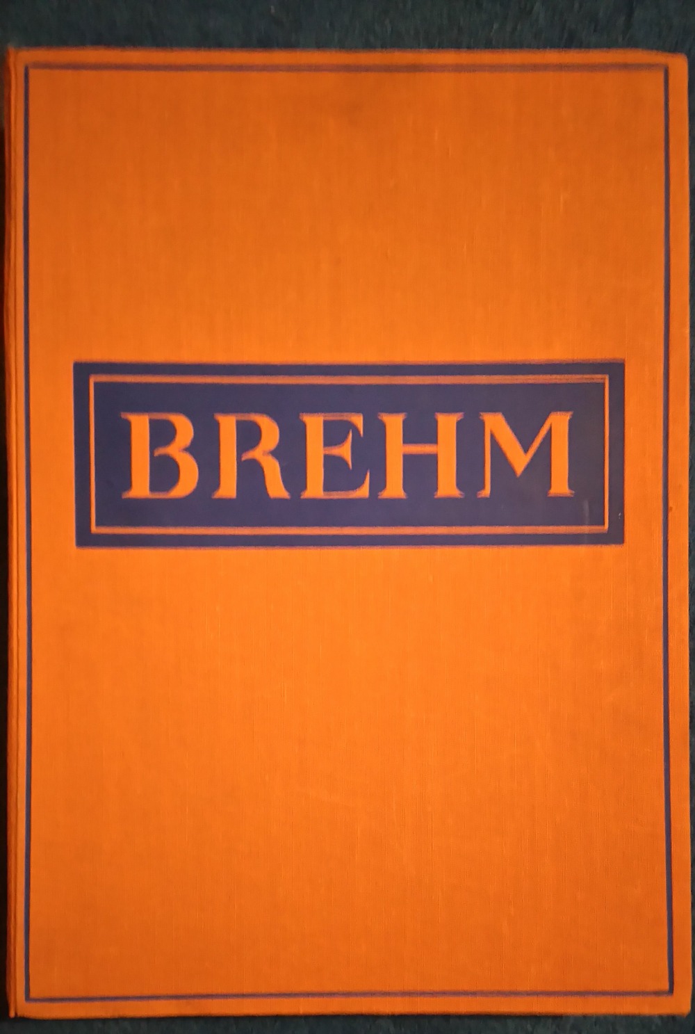Brehmův život zvířat Díl IV. Ssavci svazek druhý