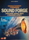 Dokonalé nahrávky s programem Sound Forge
