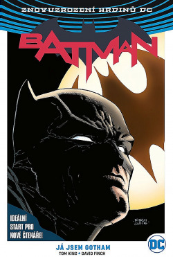 Batman: Já jsem Gotham obálka knihy
