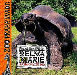 Želva Marie