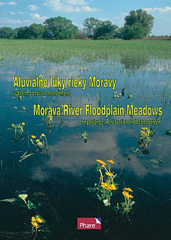 Aluviálne lúky rieky Moravy – význam, obnova a manažment