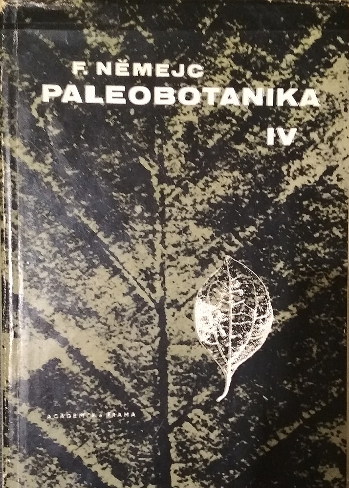 Paleobotanika IV