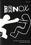 Brnox: průvodce brněnským Bronxem