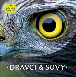 Dravci & Sovy
