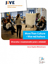 More Than Culture – Více než kultura: Diverzita v mezinárodní práci s mládeží