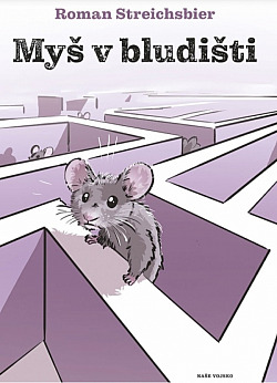 Myš v bludišti