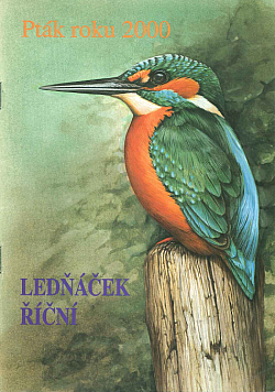 Ledňáček říční - Pták roku 2000