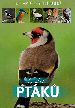 Atlas ptáků: 250 evropských druhů