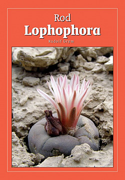Rod Lophophora