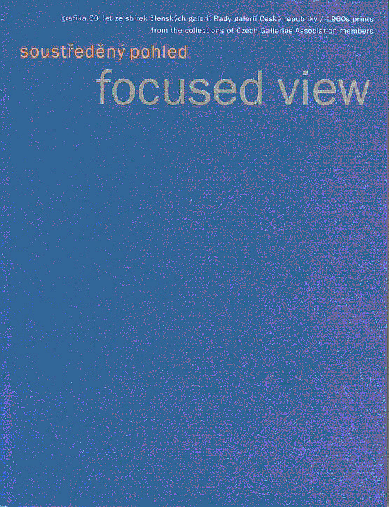 Soustředěný pohled / Focused view