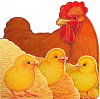 Kuřátko a jeho rodinka