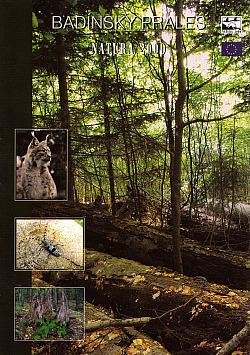 Badínsky prales - Natura 2000