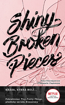 Shiny Broken Pieces obálka knihy