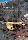 What’s wrong? Hard science and humanities – tackling the question of the absolute chronology of the Santorini eruption