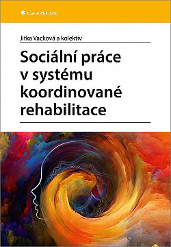 Sociální práce v systému koordinované rehabilitace - u klientů po získaném poškození mozku