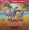 Bydlím v savaně: Zebra