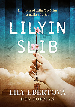 Lilyin slib obálka knihy