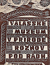 Valašské muzeum v přírodě – Rožnov pod Radh.