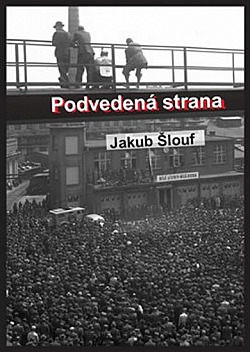 Podvedená strana: Zrod masového komunistického hnutí na Plzeňsku, jeho disciplinace, centralizace a byrokratizace (1945-1948)