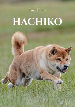 Hachiko: Najvernejší pes na svete