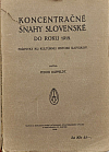 Koncentračné snahy slovenské do roku 1918: Príspevky ku kultúrnej historii Slovákov