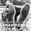 František Dostál - Fotografie 1965 - 1980