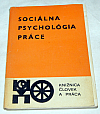 Sociálna psychológia práce