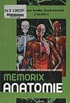 Memorix anatomie