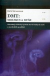 DMT: Molekula duše