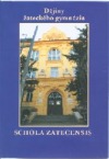 Dějiny žateckého gymnázia: Schola Zatecensis