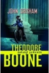 Theodore Boone: Detský právnik
