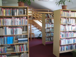 Místní knihovna Ledenice