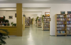 Městská knihovna Zliv (Zliv)