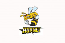 Mirek-Hornet